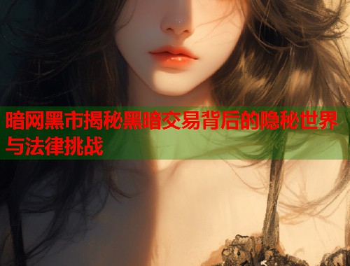 暗网黑市揭秘黑暗交易背后的隐秘世界与法律挑战  第1张