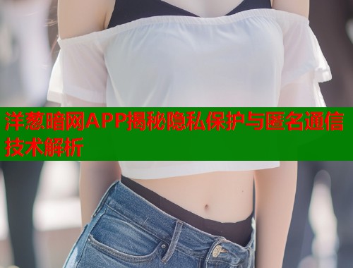 洋葱暗网APP揭秘隐私保护与匿名通信技术解析  第2张