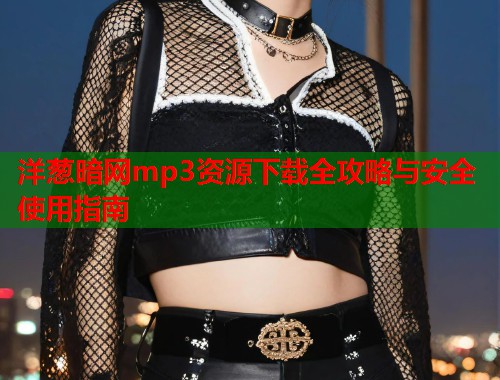 洋葱暗网mp3资源下载全攻略与安全使用指南  第1张
