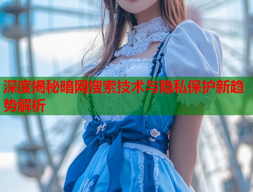 深度揭秘暗网搜索技术与隐私保护新趋势解析  第1张