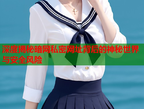 深度揭秘暗网私密网址背后的神秘世界与安全风险  第1张