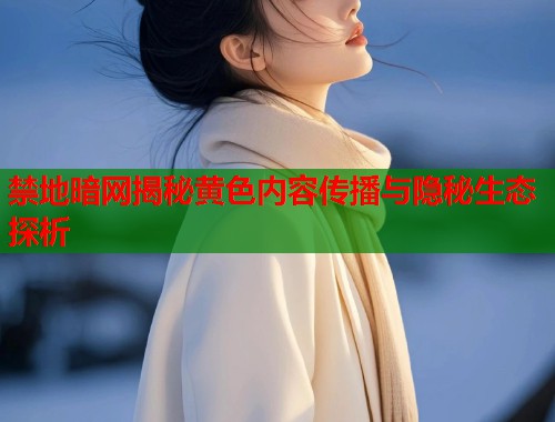 禁地暗网揭秘黄色内容传播与隐秘生态探析  第1张