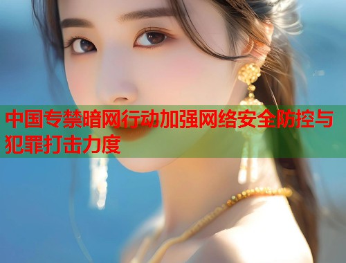 中国专禁暗网行动加强网络安全防控与犯罪打击力度  第1张