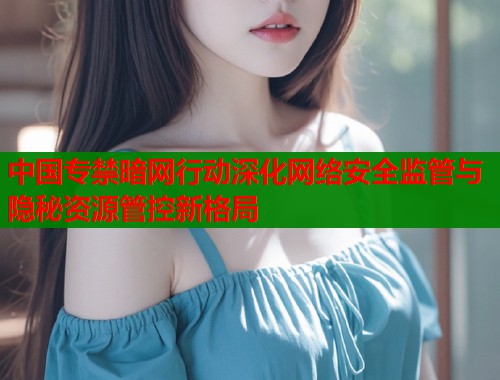 中国专禁暗网行动深化网络安全监管与隐秘资源管控新格局  第1张