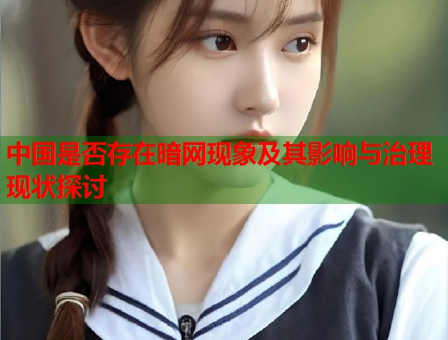 中国是否存在暗网现象及其影响与治理现状探讨  第2张