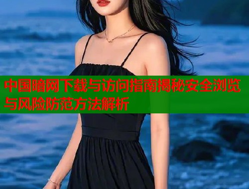 中国暗网下载与访问指南揭秘安全浏览与风险防范方法解析  第1张