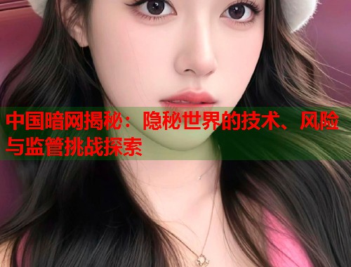 中国暗网揭秘：隐秘世界的技术、风险与监管挑战探索  第1张