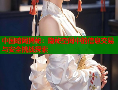 中国暗网揭秘：隐秘空间中的信息交易与安全挑战探索  第1张