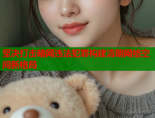 坚决打击暗网违法犯罪构建清朗网络空间新格局  第1张
