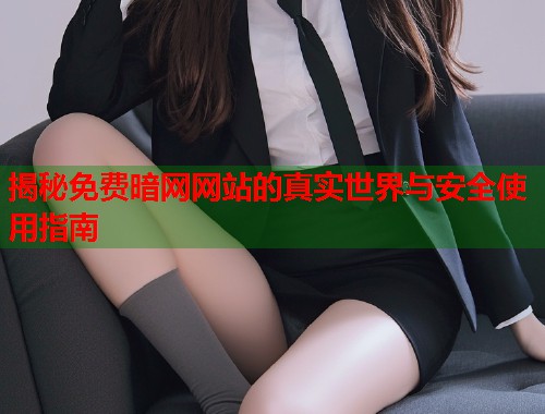 揭秘免费暗网网站的真实世界与安全使用指南  第1张