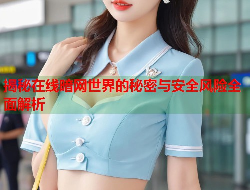 揭秘在线暗网世界的秘密与安全风险全面解析  第1张