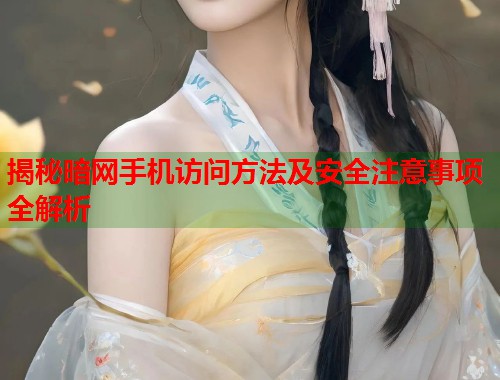 揭秘暗网手机访问方法及安全注意事项全解析  第1张