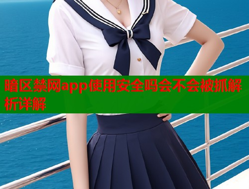 暗区禁网app使用安全吗会不会被抓解析详解  第1张