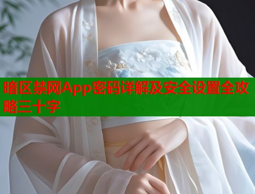 暗区禁网App密码详解及安全设置全攻略三十字  第2张
