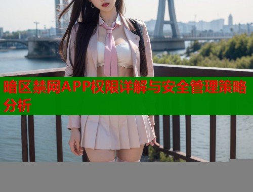 暗区禁网APP权限详解与安全管理策略分析  第1张