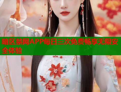 暗区禁网APP每日三次免费畅享无限安全体验  第1张