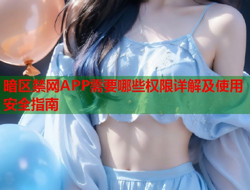 暗区禁网APP需要哪些权限详解及使用安全指南  第1张
