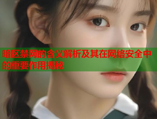 暗区禁网的含义解析及其在网络安全中的重要作用揭秘  第1张