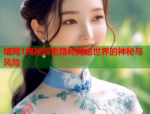 暗网1揭秘探索隐秘网络世界的神秘与风险  第1张