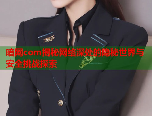 暗网com揭秘网络深处的隐秘世界与安全挑战探索  第1张