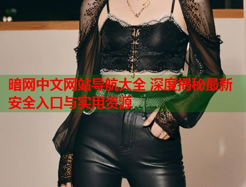 暗网中文网站导航大全 深度揭秘最新安全入口与实用资源  第1张