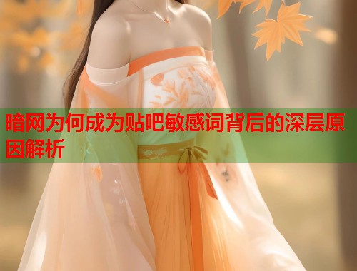 暗网为何成为贴吧敏感词背后的深层原因解析  第1张