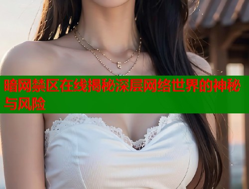 暗网禁区在线揭秘深层网络世界的神秘与风险  第2张