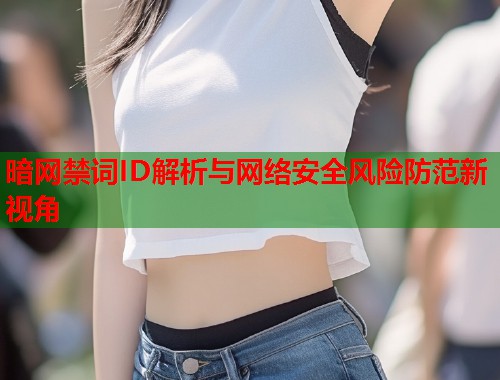 暗网禁词ID解析与网络安全风险防范新视角  第1张