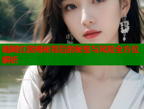 暗网红房揭秘背后的秘密与风险全方位解析  第2张