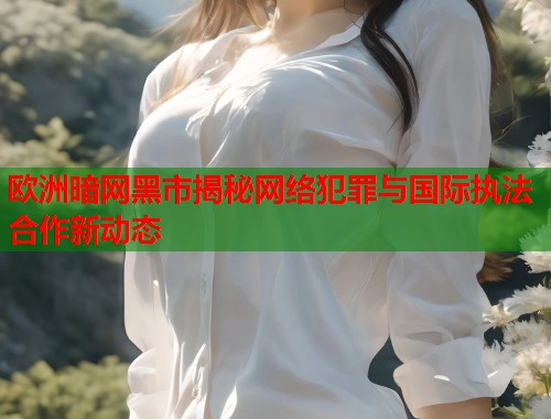 欧洲暗网黑市揭秘网络犯罪与国际执法合作新动态  第1张