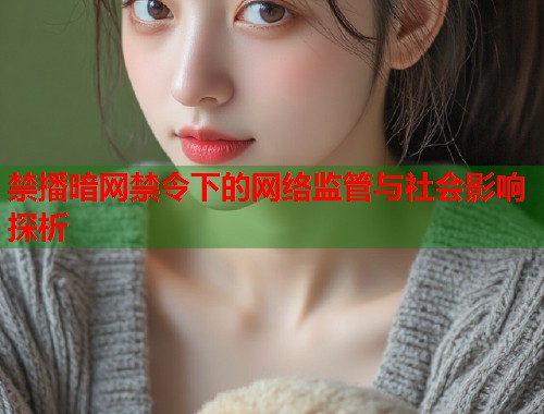 禁播暗网禁令下的网络监管与社会影响探析  第1张
