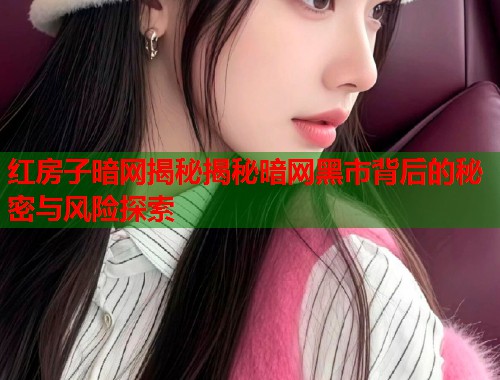 红房子暗网揭秘揭秘暗网黑市背后的秘密与风险探索  第1张