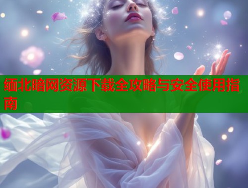 缅北暗网资源下载全攻略与安全使用指南  第1张