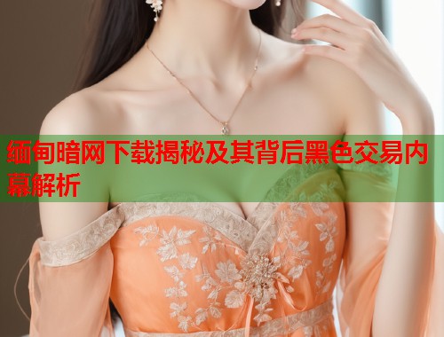 缅甸暗网下载揭秘及其背后黑色交易内幕解析  第1张