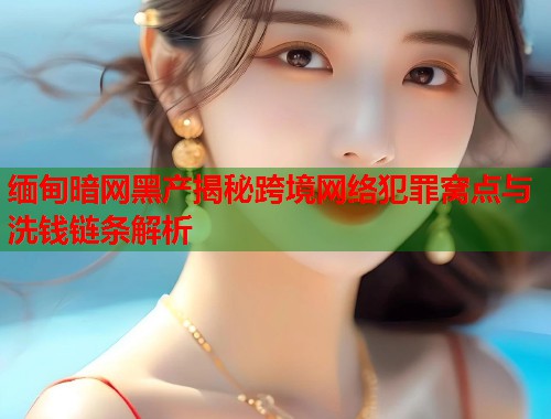 缅甸暗网黑产揭秘跨境网络犯罪窝点与洗钱链条解析  第1张