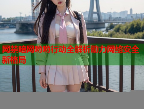 网禁暗网哟哟行动全解析助力网络安全新格局  第1张