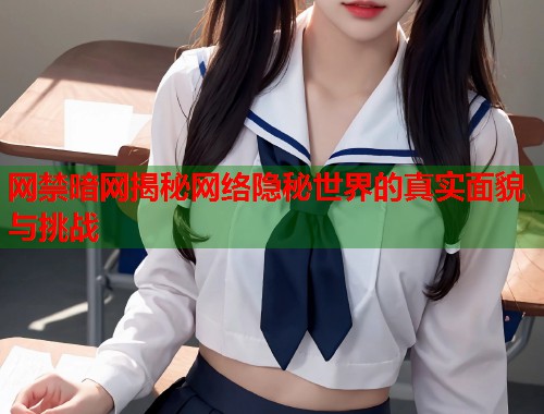 网禁暗网揭秘网络隐秘世界的真实面貌与挑战  第1张