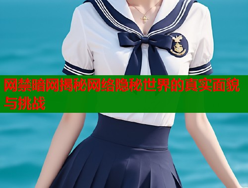网禁暗网揭秘网络隐秘世界的真实面貌与挑战  第2张