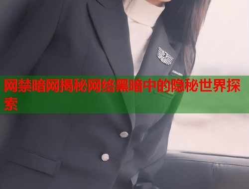 网禁暗网揭秘网络黑暗中的隐秘世界探索  第1张