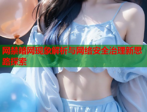 网禁暗网现象解析与网络安全治理新思路探索  第1张