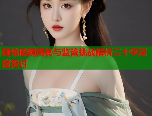 网络暗网揭秘与监管挑战解析三十字深度探讨  第1张