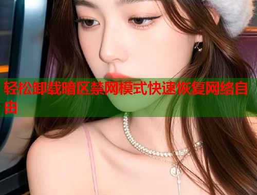 轻松卸载暗区禁网模式快速恢复网络自由  第2张